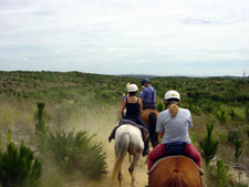 New Zealand-North Island-Warrior Trail